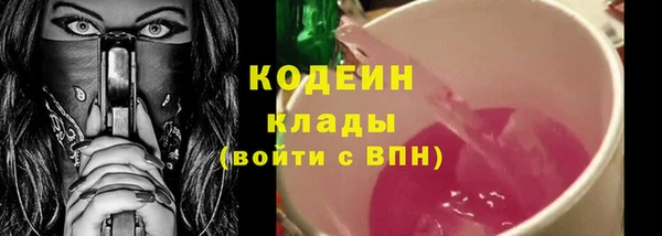 эйфоретик Бородино