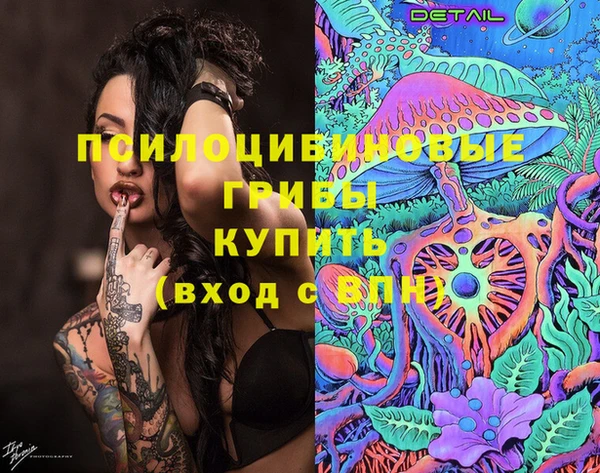 эйфоретик Бородино