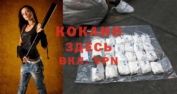 эйфоретик Бородино