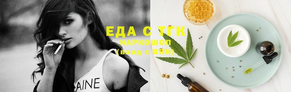 эйфоретик Бородино