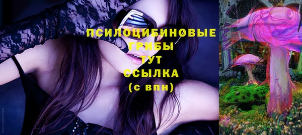 спиды Бронницы
