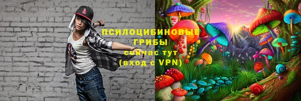 герыч Бугульма