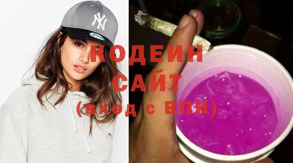 эйфоретик Бородино