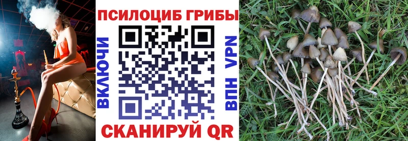 Псилоцибиновые грибы ЛСД  Купить закладки  Яровое 